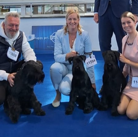 Uzgojna skupina Cesar Black Shine (Cely, Flavia, Leny)